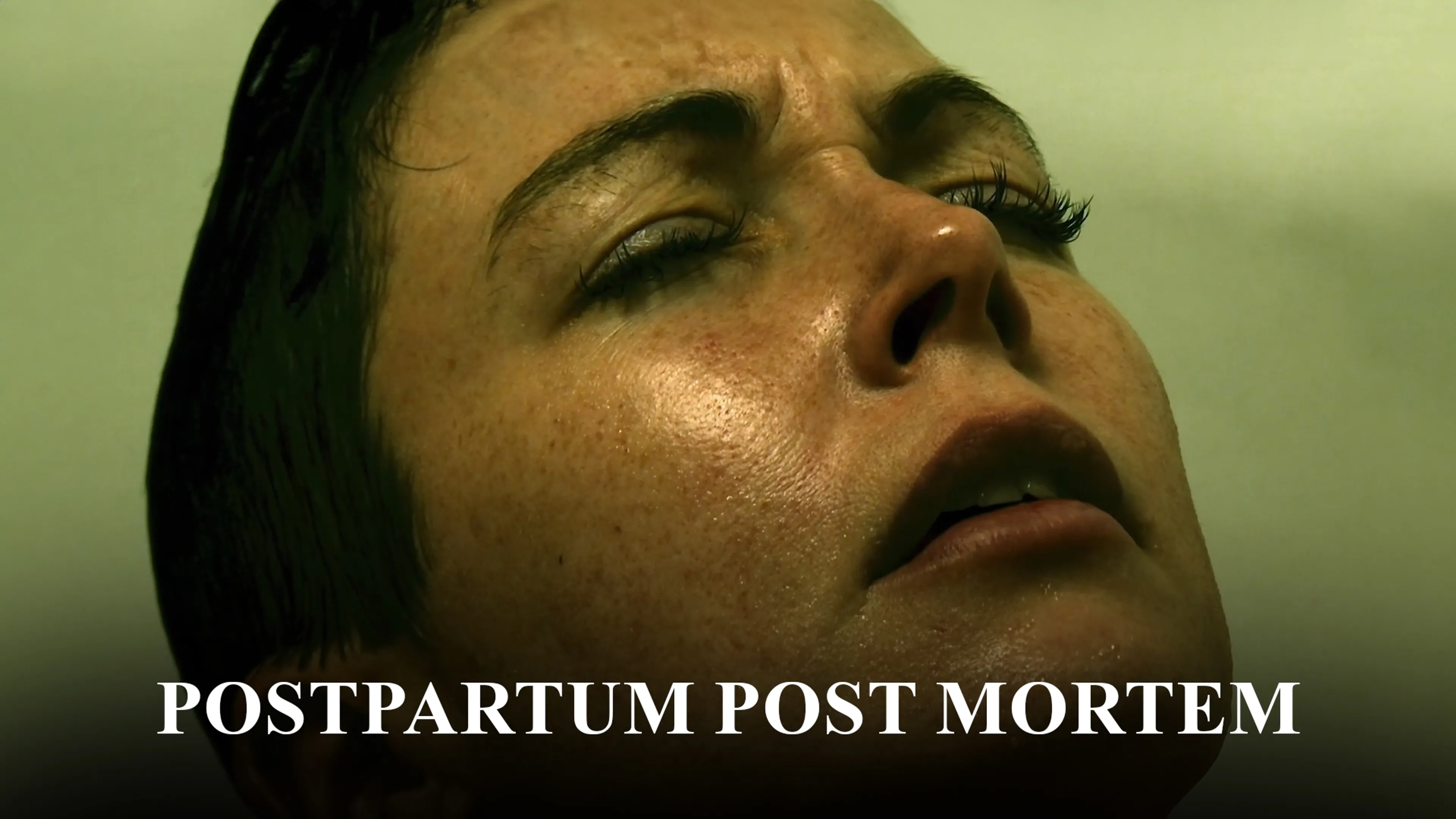 Postpartum Post Mortem poster